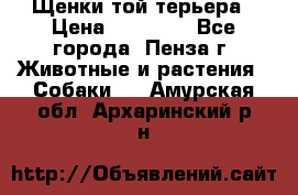 Щенки той терьера › Цена ­ 10 000 - Все города, Пенза г. Животные и растения » Собаки   . Амурская обл.,Архаринский р-н